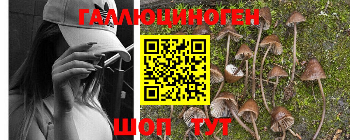 Кострома  Псилоцибиновые грибы MAGIC MUSHROOMS  Вход с VPN 